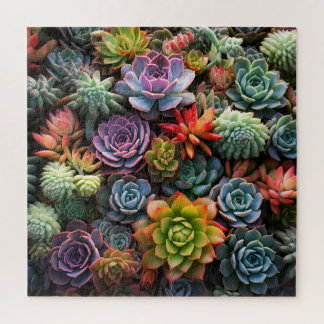 A Mass of Succulents Jigsaw Puzzle