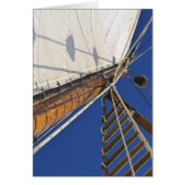 A Mast Of Perspective (Front)