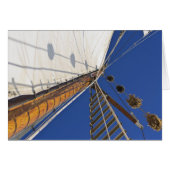 A Mast Of Perspective (Front Horizontal)