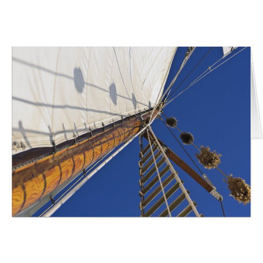 A Mast Of Perspective (Front Horizontal)