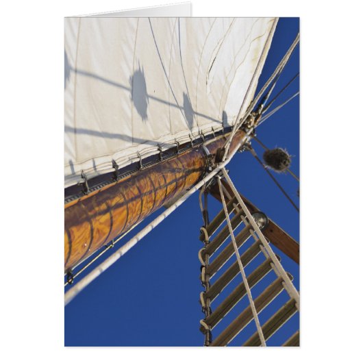 A Mast Of Perspective Cards (Front)