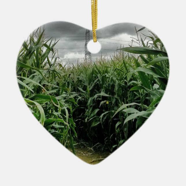 A maze of maize ceramic ornament (Front)