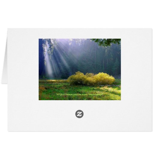 A meadow in the sun. (Back Horizontal)