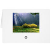 A meadow in the sun. cards (Back Horizontal)