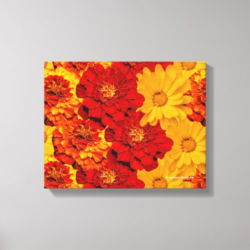 A Medley of Red Yellow and Orange Marigolds Canvas Print