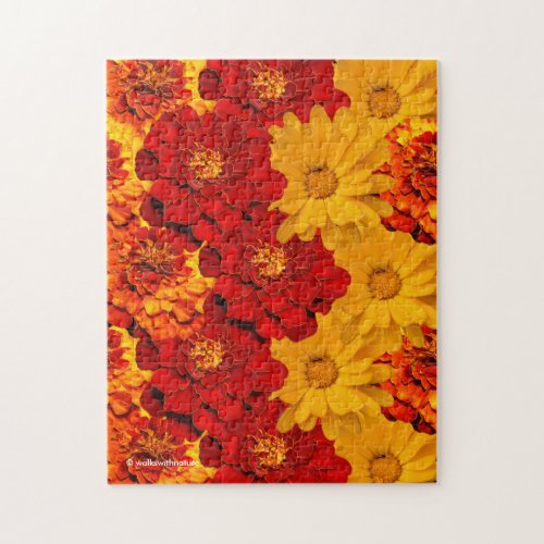 A Medley of Red Yellow and Orange Marigolds Jigsaw Puzzle