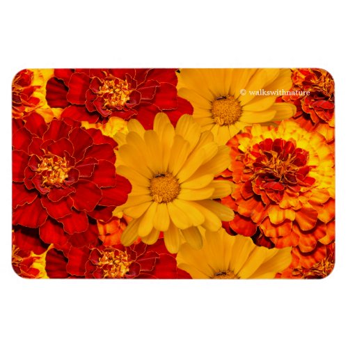 A Medley of Red Yellow and Orange Marigolds Magnet