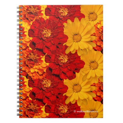 A Medley of Red Yellow and Orange Marigolds Notebook