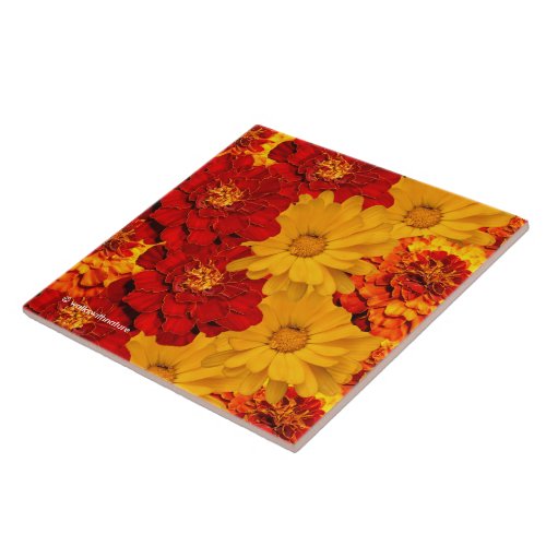 A Medley of Red Yellow and Orange Marigolds Tile