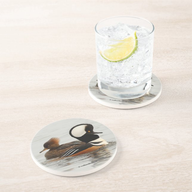 A Meeting of Hooded Merganser Ducks at the Pond Coaster (Side)