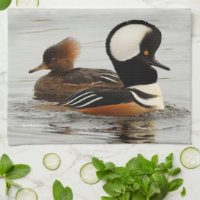 A Meeting of Hooded Merganser Ducks at the Pond
