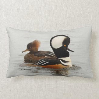 A Meeting of Hooded Merganser Ducks Lumbar Pillow