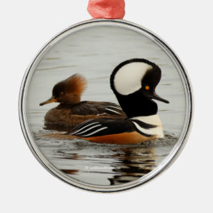 A Meeting of Hooded Mergansers Metal Ornament