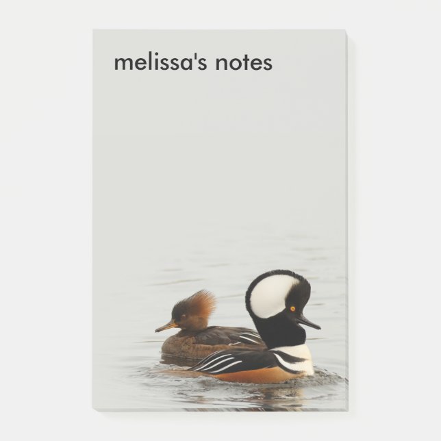 A Meeting of Hooded Mergansers Post-it Notes (Front)