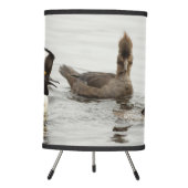 A Meeting of Hooded Mergansers Tripod Lamp (Front)