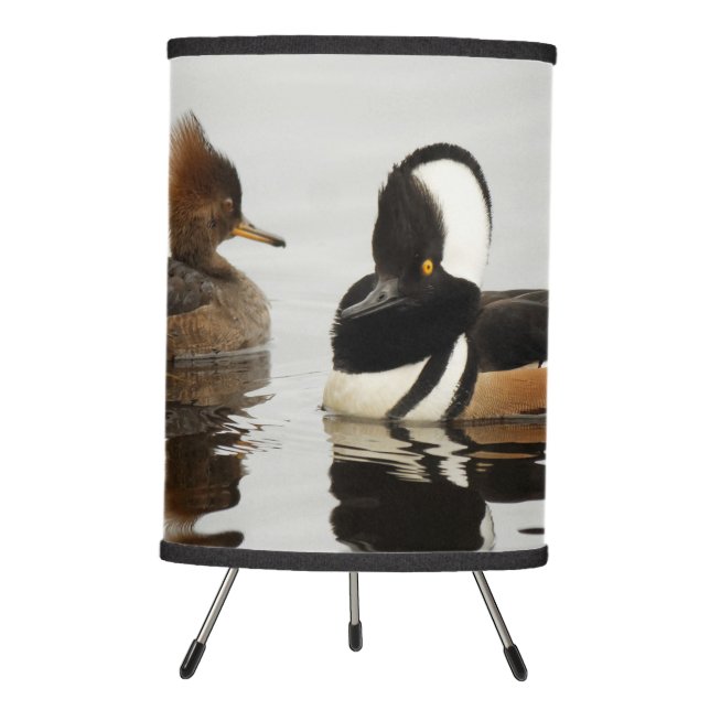 A Meeting of Hooded Mergansers Tripod Lamp (Front)