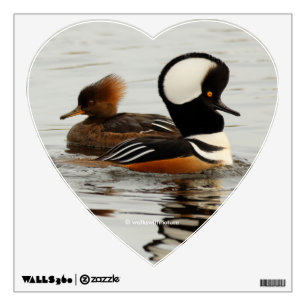 A Meeting of Hooded Mergansers Wall Decal