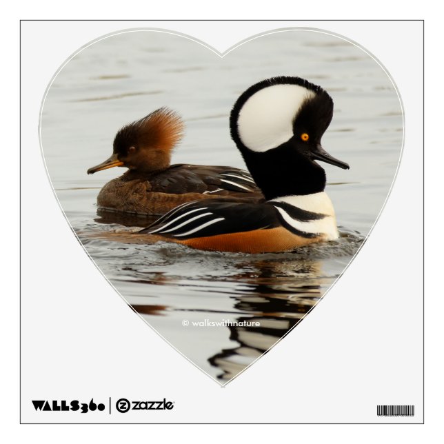 A Meeting of Hooded Mergansers Wall Decal (Front)