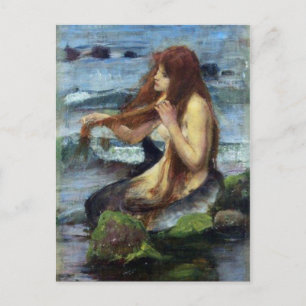 A Mermaid (study) Postcard