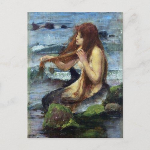 A Mermaid study Postcard