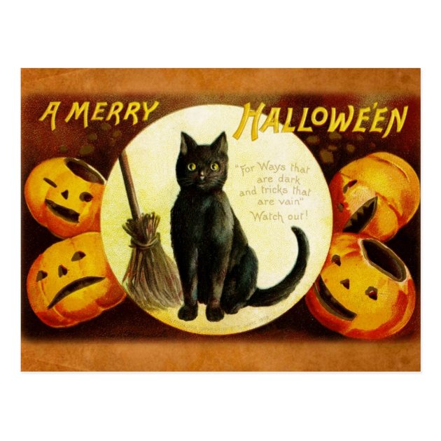 A Merry Halloween From The Black Cat Postcard