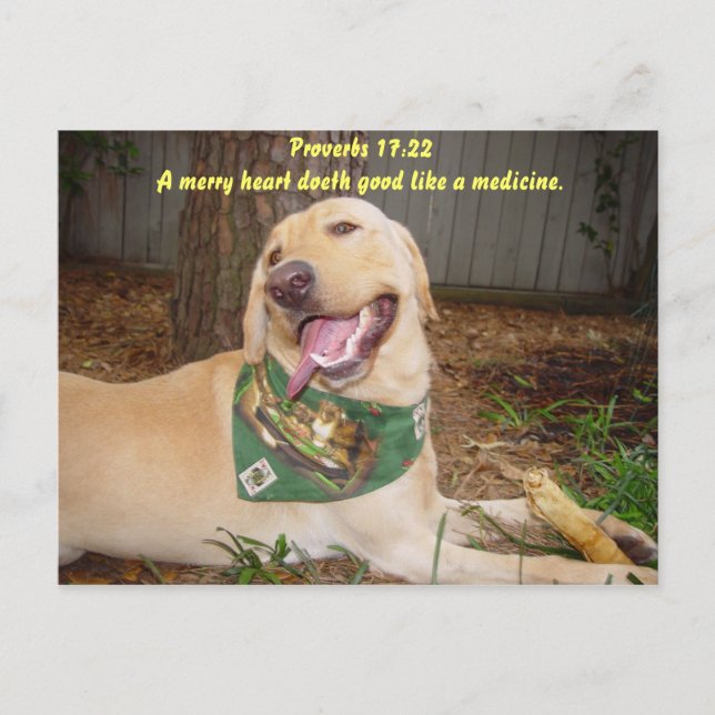 A merry heart doeth good like a medicine. postcard (Front)