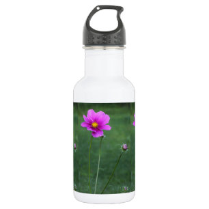 A Mexican Aster Stainless Steel Water Bottle