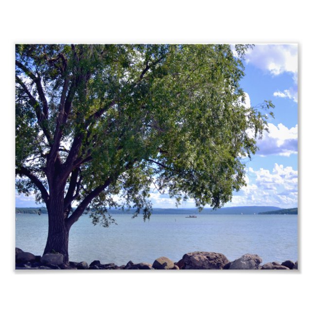 A MIDSUMMER'S AFTERNOON AT THE LAKE. PHOTO (Front)