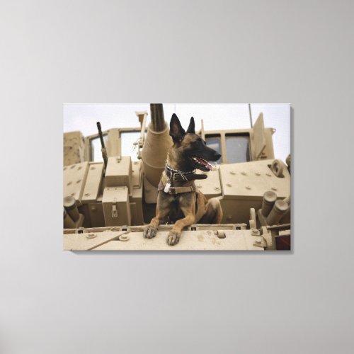 A military working dog sits on a M2A3 Canvas Print