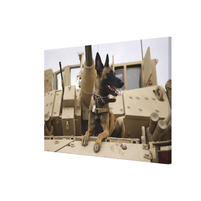 A military working dog sits on a M2A3 Canvas Print (Front Right)