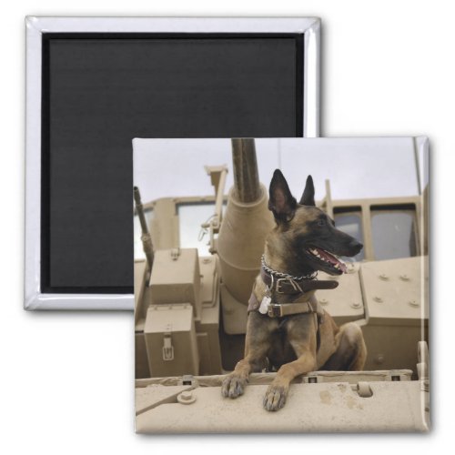 A military working dog sits on a M2A3 Magnet
