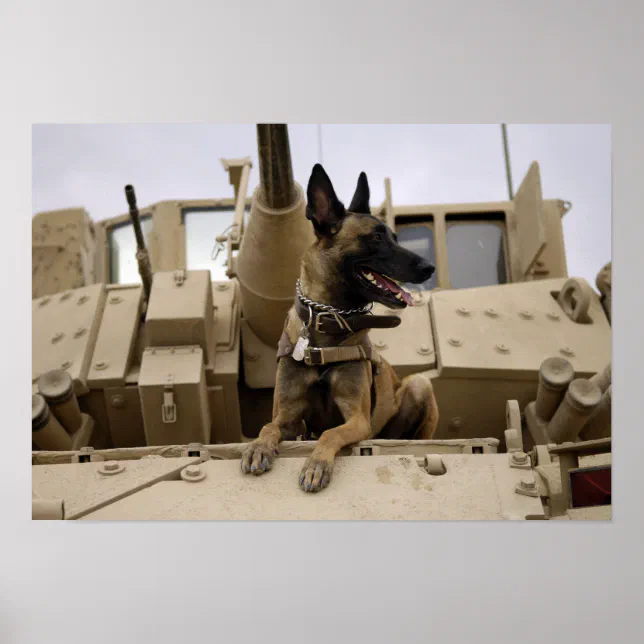 A military working dog sits on a M2A3 Poster (Front)
