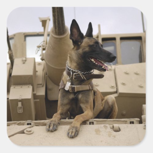 A military working dog sits on a M2A3 Square Sticker