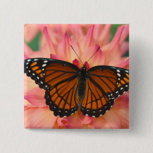 A Mimic Of The Monarch Butterfly Button
