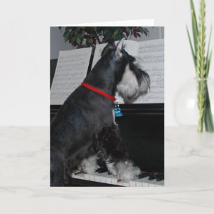 A miniature Schnauzer at the piano Card
