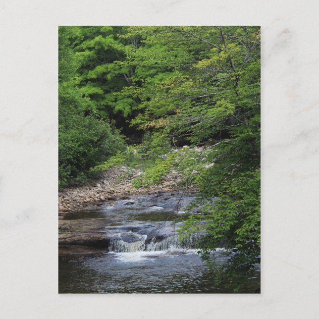 A Miniature Waterfall Postcard (Front)