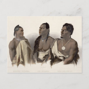 A Missouri Indian, an Oto Indian and the Chief of Postcard