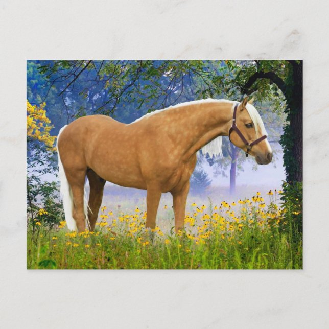 "A Misty Morning"  Postcard (Front)