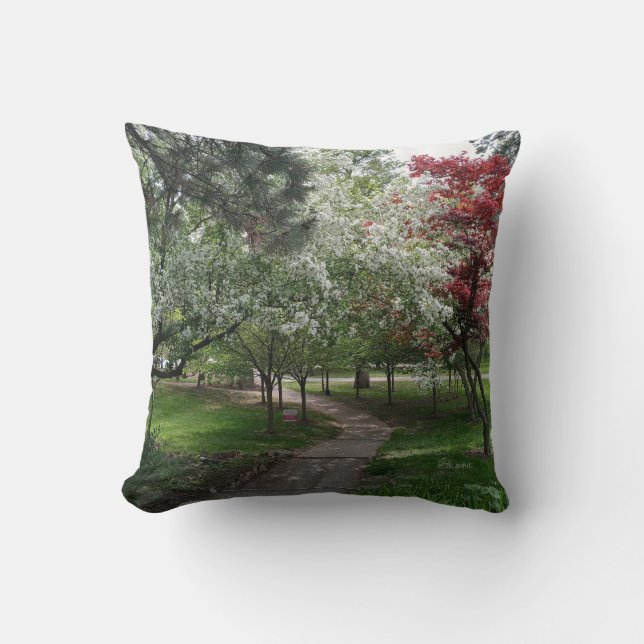 A Mix of Beauty and Grace Throw Pillow (Front)