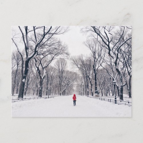 A Modern Little Red Riding Hood in Central Park Postcard