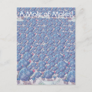 A Mole of Moles Cartoon Avogadro Constant Postcard