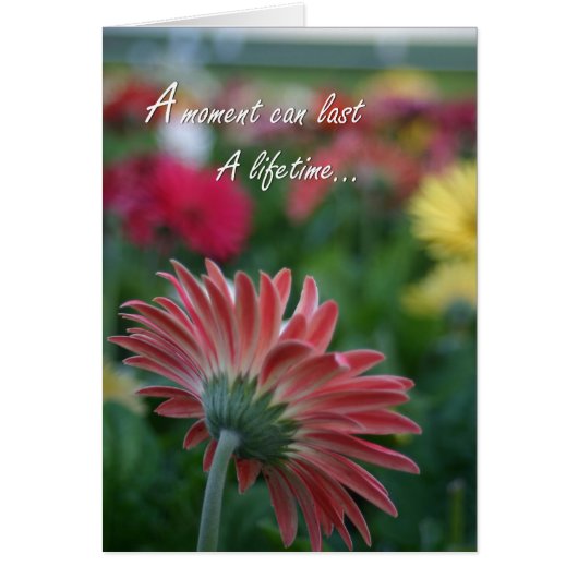A Moment can last a lifetime pink gerbera daisy Cards (Front)