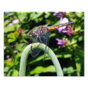 A Moment in Time - 8x10 Photo Print
