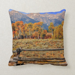 A Moment in Wyoming in Autumn Throw Pillow