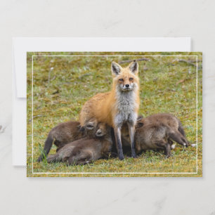 A Mom's Day Holiday Card