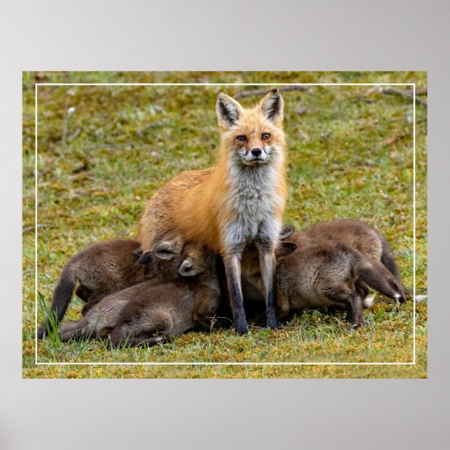 A Mom's Day Poster (Front)