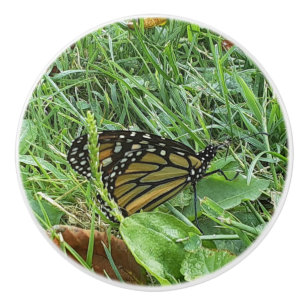 A Monarch Butterfly  Ceramic Knob