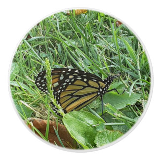 A Monarch Butterfly Ceramic Knob