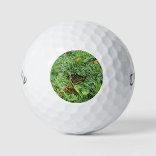 A Monarch Butterfly  Golf Balls