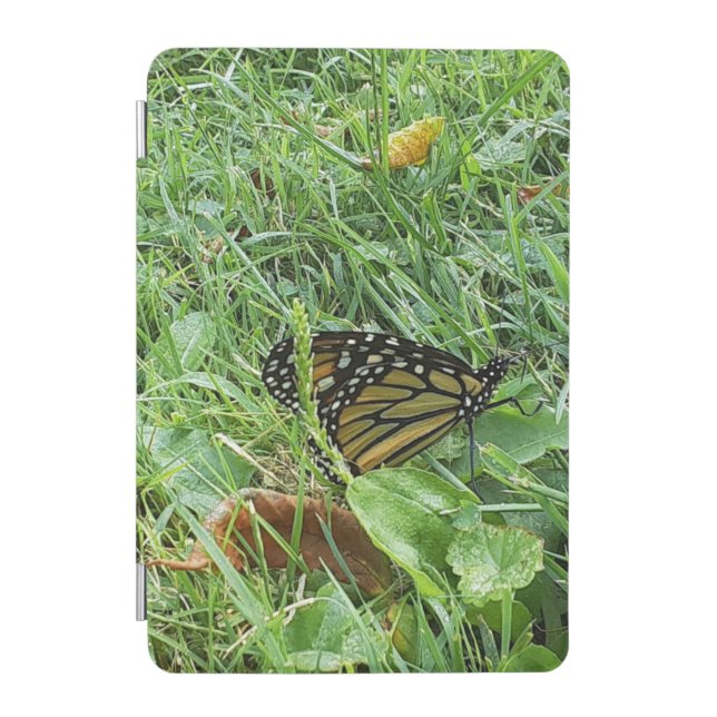 A Monarch Butterfly  iPad Mini Cover (Front)